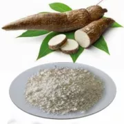 Ứng dụng Tinh Bột Sắn