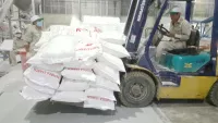 Tinh bột Sắn: Thuốc giảm đau Aztec