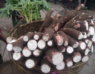 5 THINGS YOU NEED TO KNOW ABOUT CASSAVA FLOUR