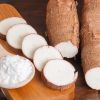 Reliable Tapioca Starch Supply for International Markets