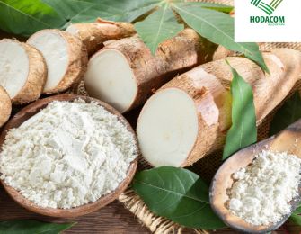 Vietnamese Cassava Starch: A Trusted Choice for International Import