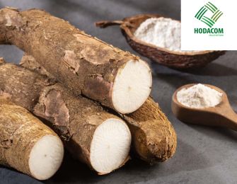 Applications of Cassava Starch in the Food Processing Industry