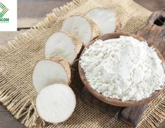 The Role of Cassava Starch in the Paper Industry