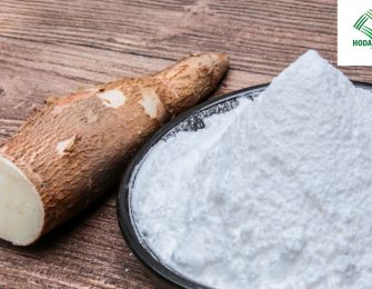 Top Supplier of Cassava Starch Exported to Ghana