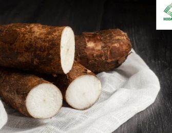 Reliable Cassava Starch Exporter to International Markets