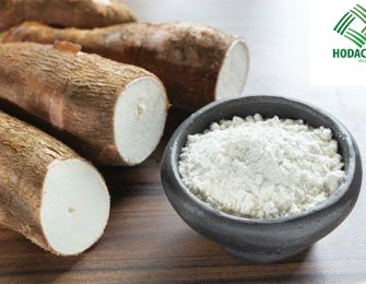 Modern Technology in Cassava Starch Processing