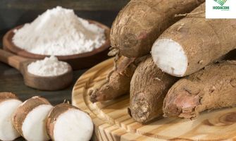 Trusted Exporter of Cassava Starch to Senegal