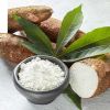 Cassava Starch Export A Global Economic Solution