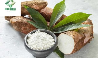 Cassava Starch Export A Global Economic Solution