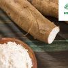 Exporting Cassava Starch to Indonesia