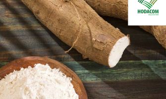 Exporting Cassava Starch to Indonesia