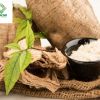 Exporting Cassava Starch to Taiwan