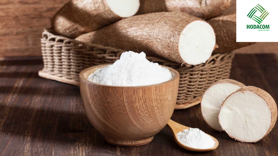 Matling International Standards in Cassava Starch Production and Export
