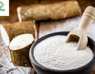 Cassava Starch The Secret to a Greener Industry
