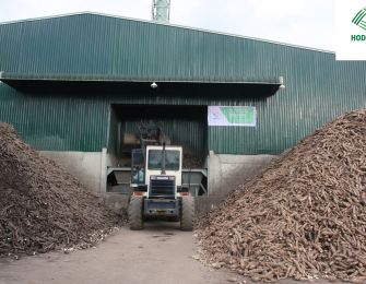 Cassava Starch Exporter to China