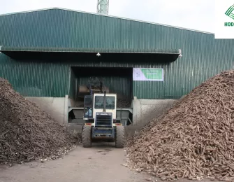 Cassava Starch Exporter to China