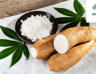 Cassava Starch Export Unit to Thailand