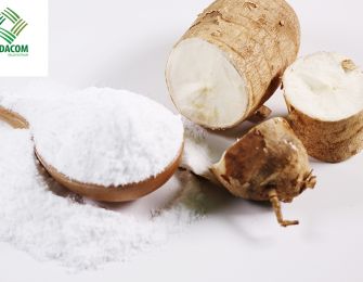 Cassava Starch Export Unit to Mexico
