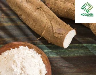 Cassava Starch Export A Golden Opportunity in the International Market