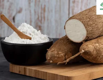 Cassava Starch A Solution to Reduce Dependence on Petrochemical Resources