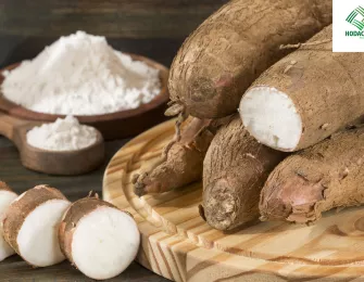 Growth in Cassava Starch Exports to Asia