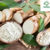 Cassava Starch Export Strategy to the Southeast Asian Market