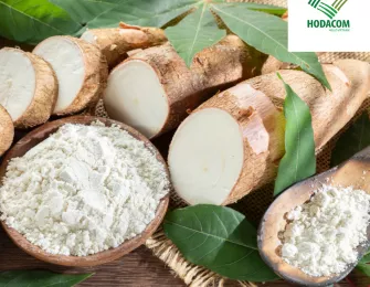 Cassava Starch Export Strategy to the Southeast Asian Market