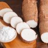 Growth of Cassava Starch Exports to the Global Market