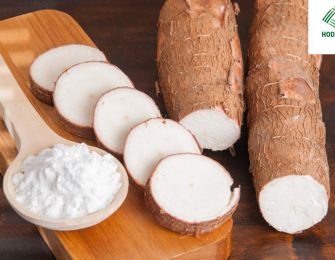 Growth of Cassava Starch Exports to the Global Market