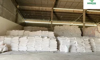 The Role of Cassava Starch in the Sizing Process of the Textile Industry
