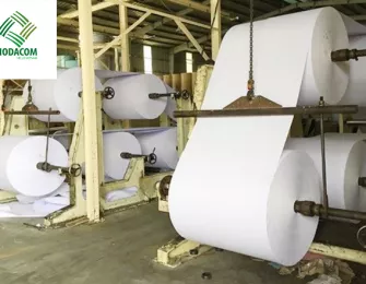 The Role of Cassava Starch in Paper Production