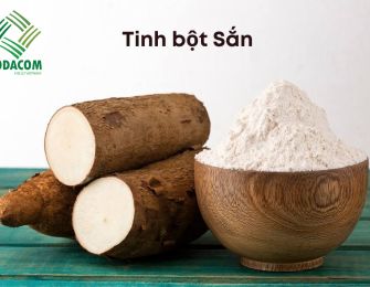 The Potential of Cassava Starch Export to the Middle East