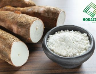 Standard Export Cassava Starch Production Process