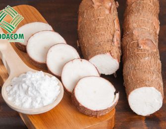 Cassava Starch in the Biotechnology Industry