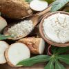 Exporting Cassava Starch to the Middle East