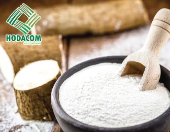 Exporting Cassava Starch to Myanmar