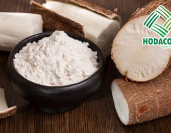 Exploring the Composition and Outstanding Properties of Tapioca Starch