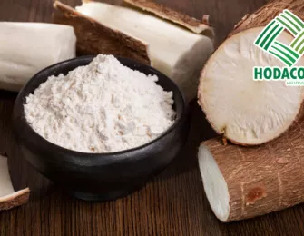Exploring the Composition and Outstanding Properties of Tapioca Starch