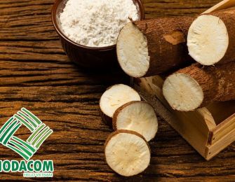 The Application of Cassava Starch in the Paper Industry