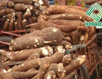 Optimizing Production Efficiency with High-Quality Tapioca Starch