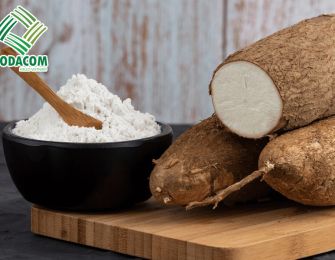 Industrial-Grade Cassava Starch Production Process