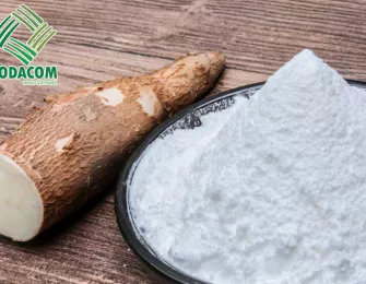 How Cassava Starch Helps Strengthen Daily Immunity
