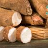 Cassava Starch in the Production of Eco-Friendly Materials