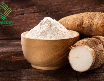 Cassava Starch A Bioplastic Solution to Replace Plastic