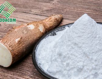 Cassava Starch’s Impact on the Chemical Industry