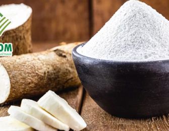 Cassava Starch The Key to Renewable Energy