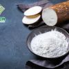 Cassava Starch And Its Role In Reducing Carbon Emissions