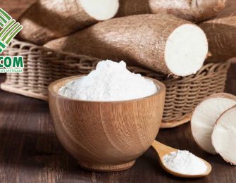 Cassava Starch Supplier Meeting Food Safety Standards