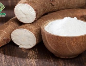 The Rising Demand for Cassava Starch in Taiwan