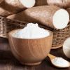 Bulk Cassava Starch Supplier for the Indonesia Market